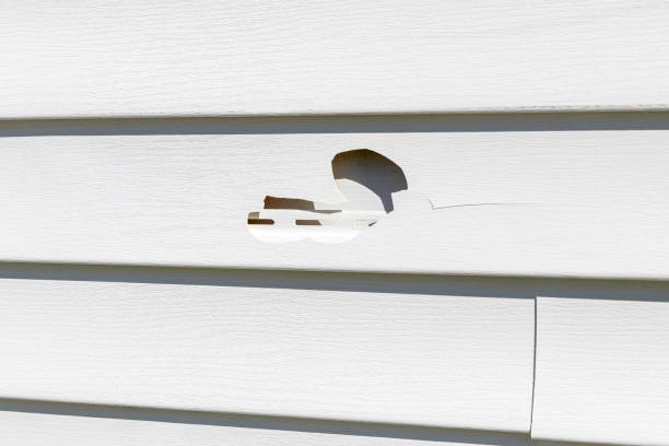 Best Insulated Siding Installation  in Belmont, WI