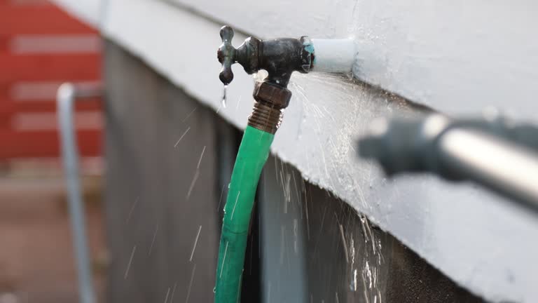Best Custom Trim and Detailing for Siding  in Belmont, WI